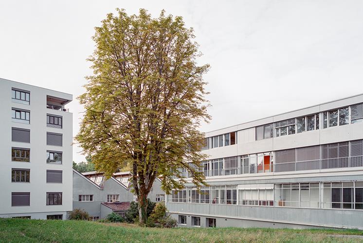 Surélévation et rénovation PRO-JET