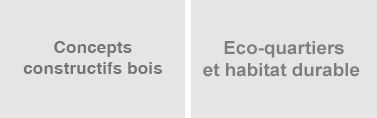 organisation-bas